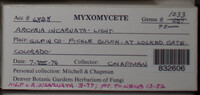 Image Associated With the Occurence